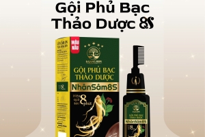 GỘI PHỦ NÂU THẢO DƯỢC NHÂN SÂM 8S (MÀU NÂU) - 8 Sang BDS