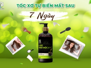 Tóc Xơ Tự Biến Mất Sau 7 Ngày - Giải Pháp Với Dầu Ủ Tóc Thảo Mộc 8S