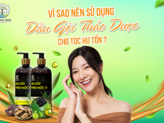 VÌ SAO NÊN SỬ DỤNG DẦU GỘI THẢO DƯỢC CHO TÓC HƯ TỔN ?