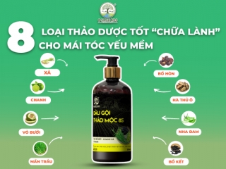 TOP THẢO DƯỢC TỐT "CHỮA LÀNH" CHO MÁI TÓC YẾU MỀM !