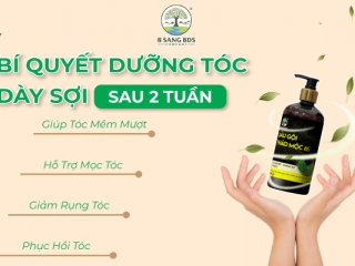 BÍ QUYẾT DƯỠNG TÓC DÀY SỢI SAU 2 TUẦN CÙNG VỚI DẦU GỘI THẢO MỘC 8S