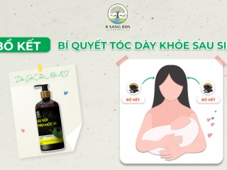  Bồ Kết - Bí Quyết Tóc Dày Khỏe Sau Sinh