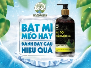 BẬT MÍ MẸO HAY - ĐÁNH BAY GÀU HIỆU QUẢ !